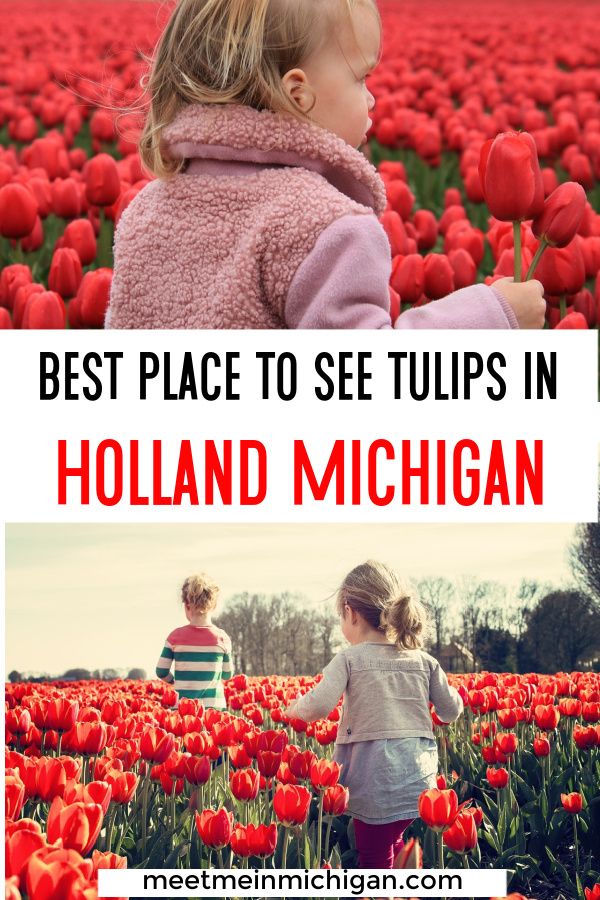 best place to see tulips in holland michigan