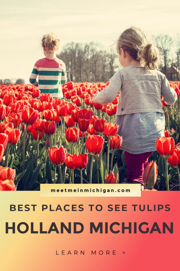best places to see tulips holland michigan