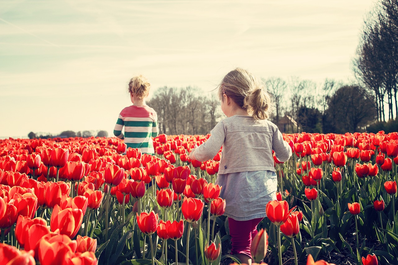 girls in tulip field