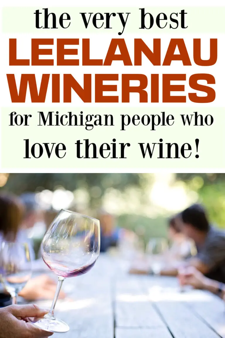 Best Leelanau Peninsula Wineries and Vineyards Guide - Meet Me in Michigan