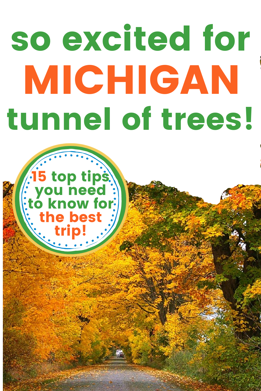 Scenic Tunnel Of Trees Michigan Best Time To Visit