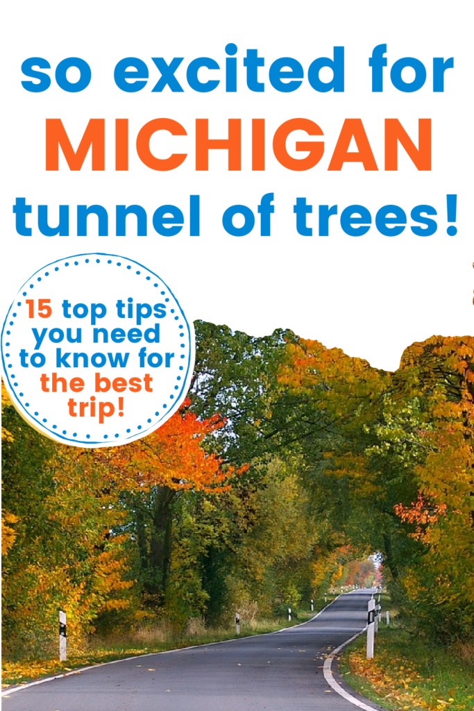 michigan tunnel of trees