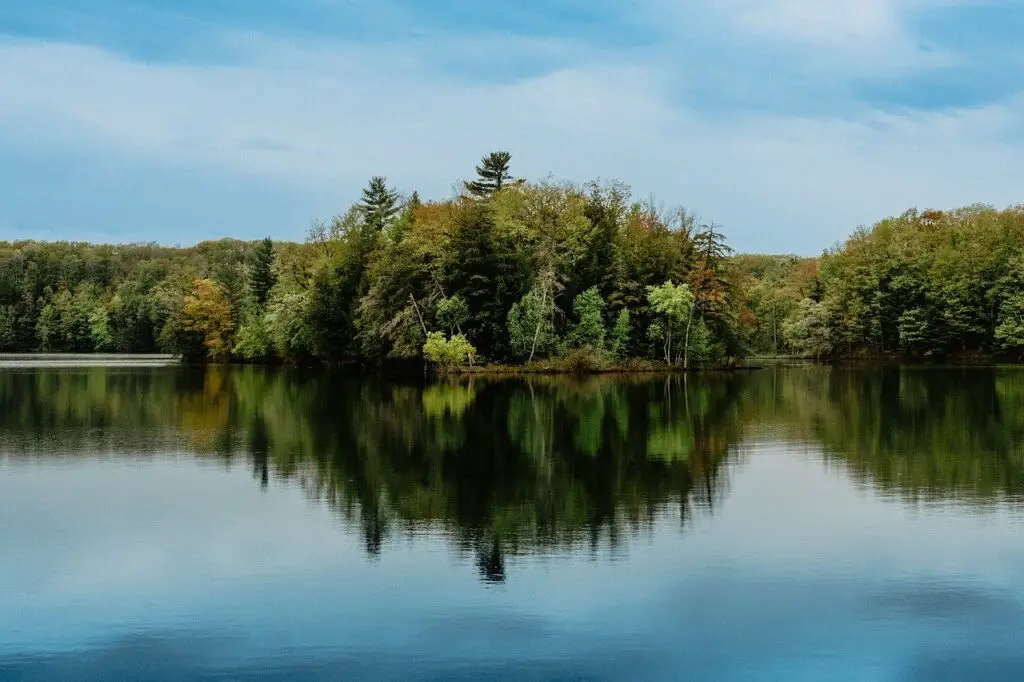 best lakes in michigan serene lake with forest