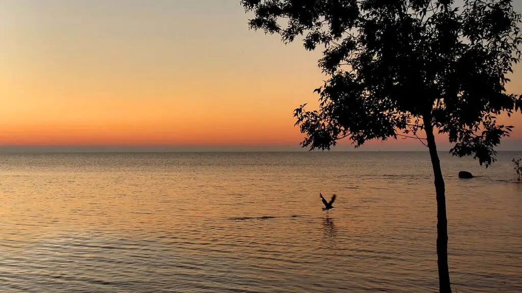 best lake huron beaches in michigan - the sunrise side