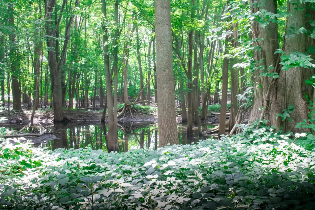 historical places in michigan norton mound group